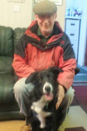 Olly the Collie going home xx