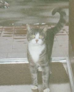 Our Smokey 1991 - 7th June 2012