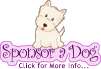 Sponsor a Dog - click here for more info